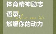 开云平台-体育精神在比赛中闪耀，激励人心