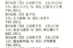 开云官网-尤文图斯平局难言晋级可能性的简单介绍