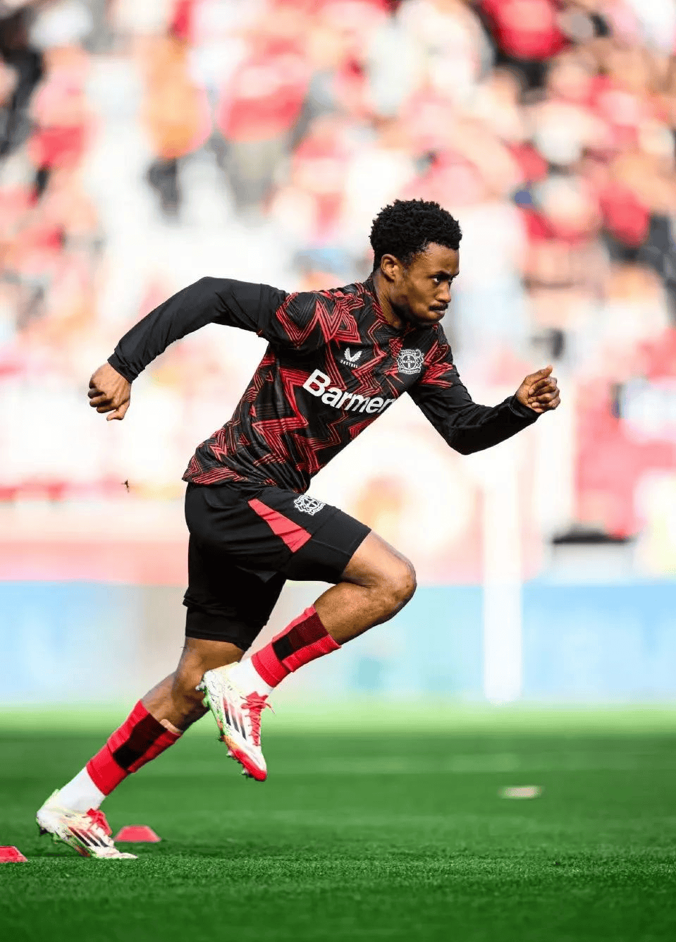 包含战胜斯图加特，法兰克福球队冲上积分榜前列的词条