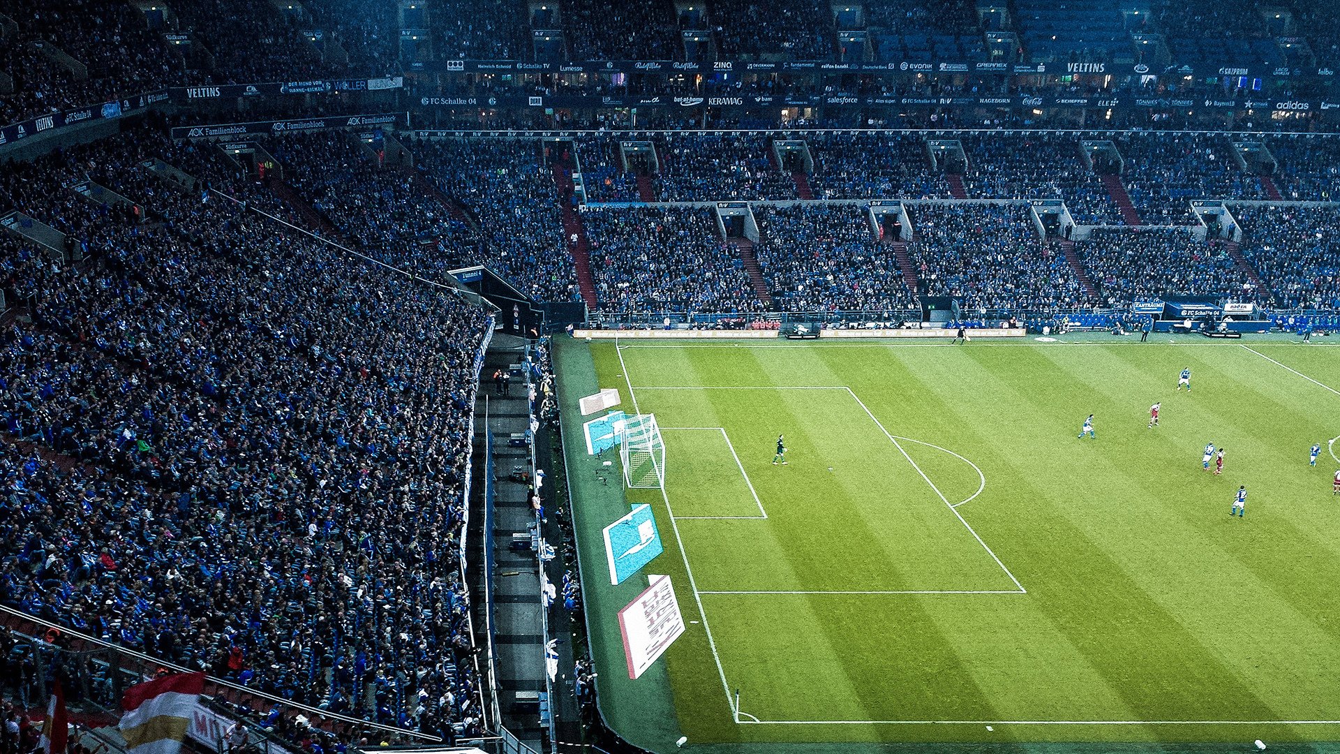 维也纳的意志，波尔与奥地利人的命运复调