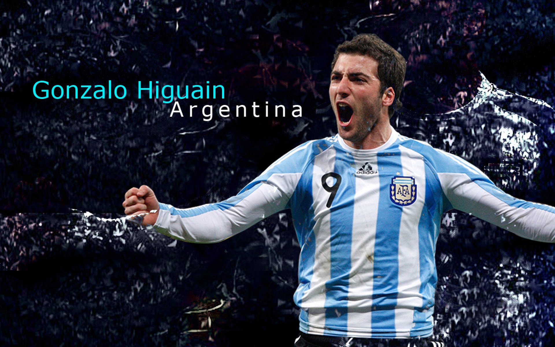 南美的雨声，当野性击穿华美乐章