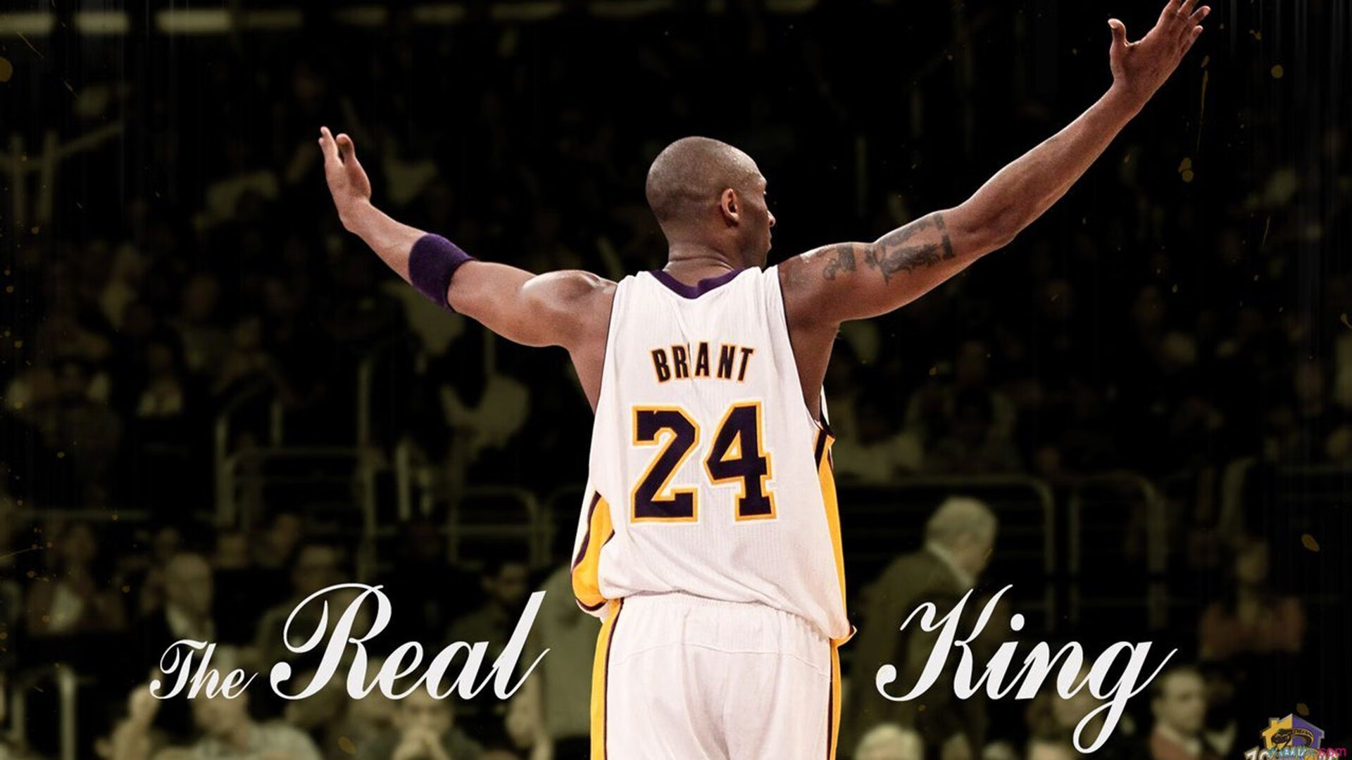 黄金猎手，福克斯主宰辽鲁鏖战，决胜时刻诠释巨星本色